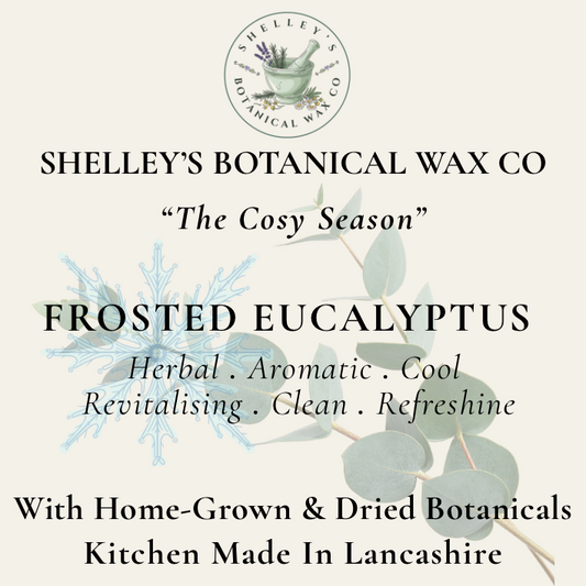 Frosted Eucalyptus Vegan Wax Melt 50g