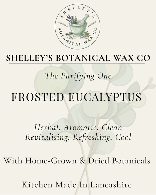 Frosted Eucalyptus Vegan Wax Melt