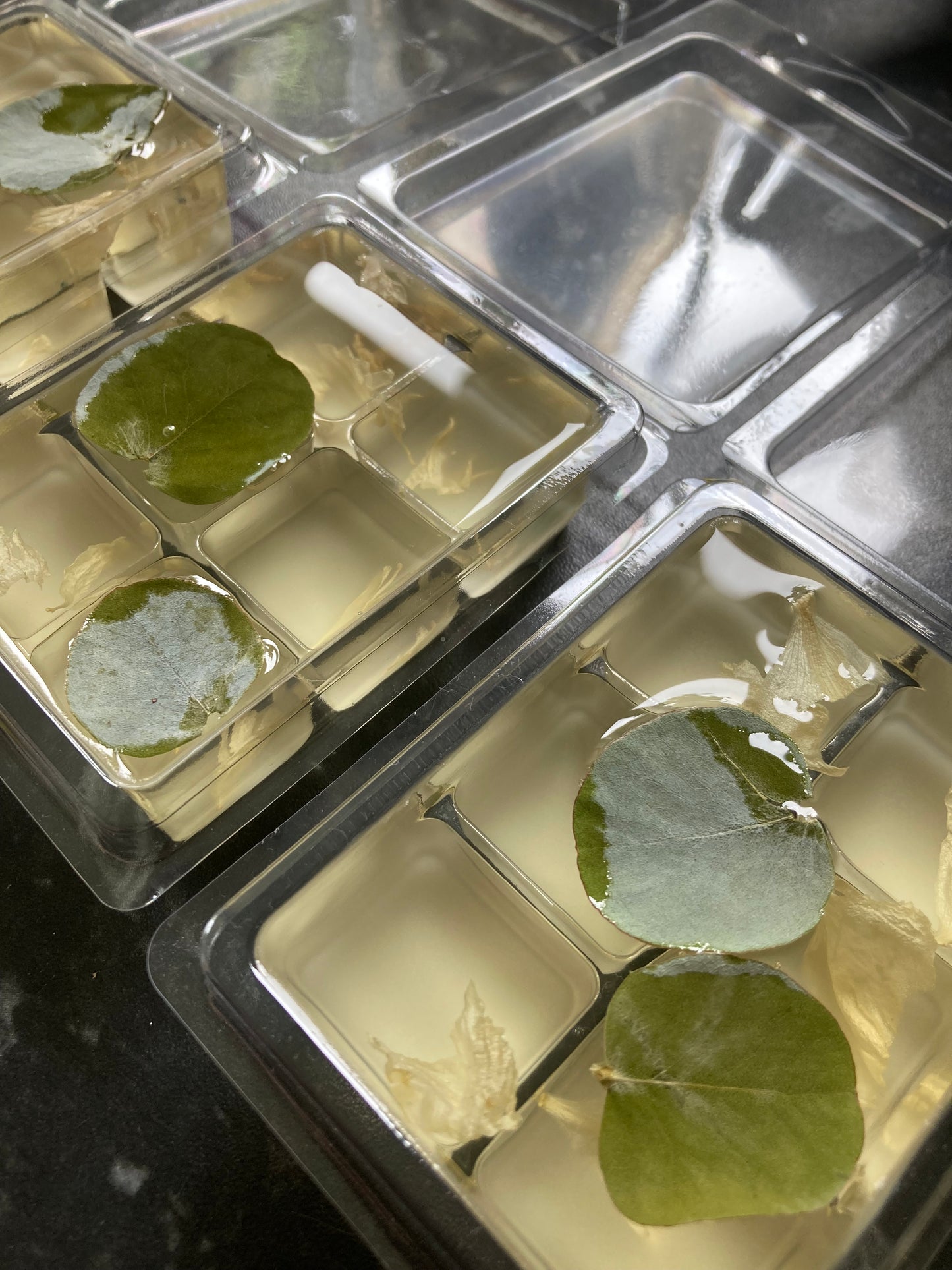 Frosted Eucalyptus Vegan Wax Melt