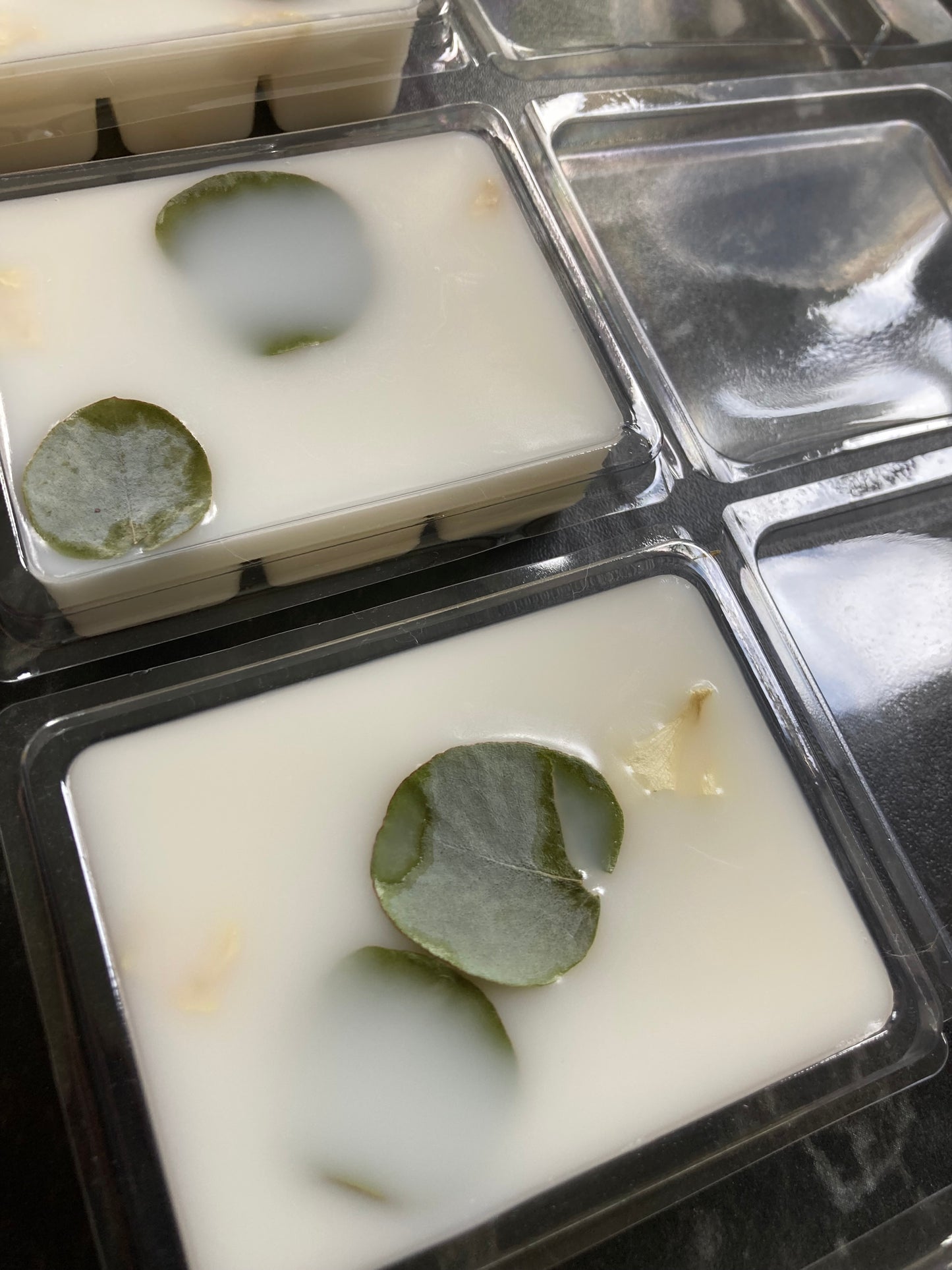 Frosted Eucalyptus Vegan Wax Melt