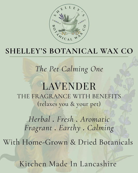 Lavender Pet Vegan Wax Melt