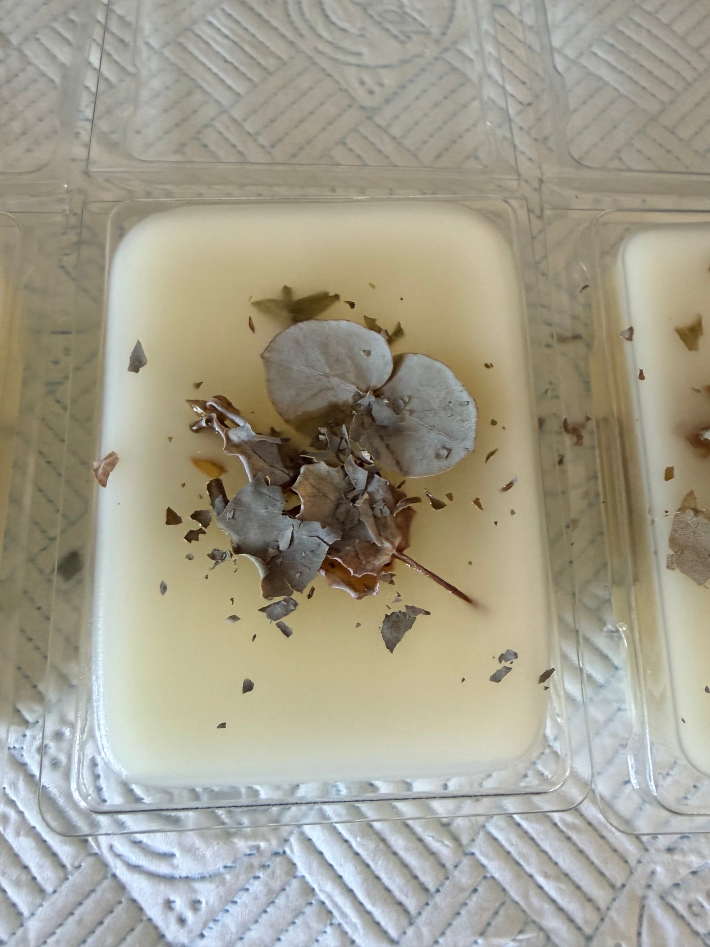 Frosted Eucalyptus Vegan Wax Melt
