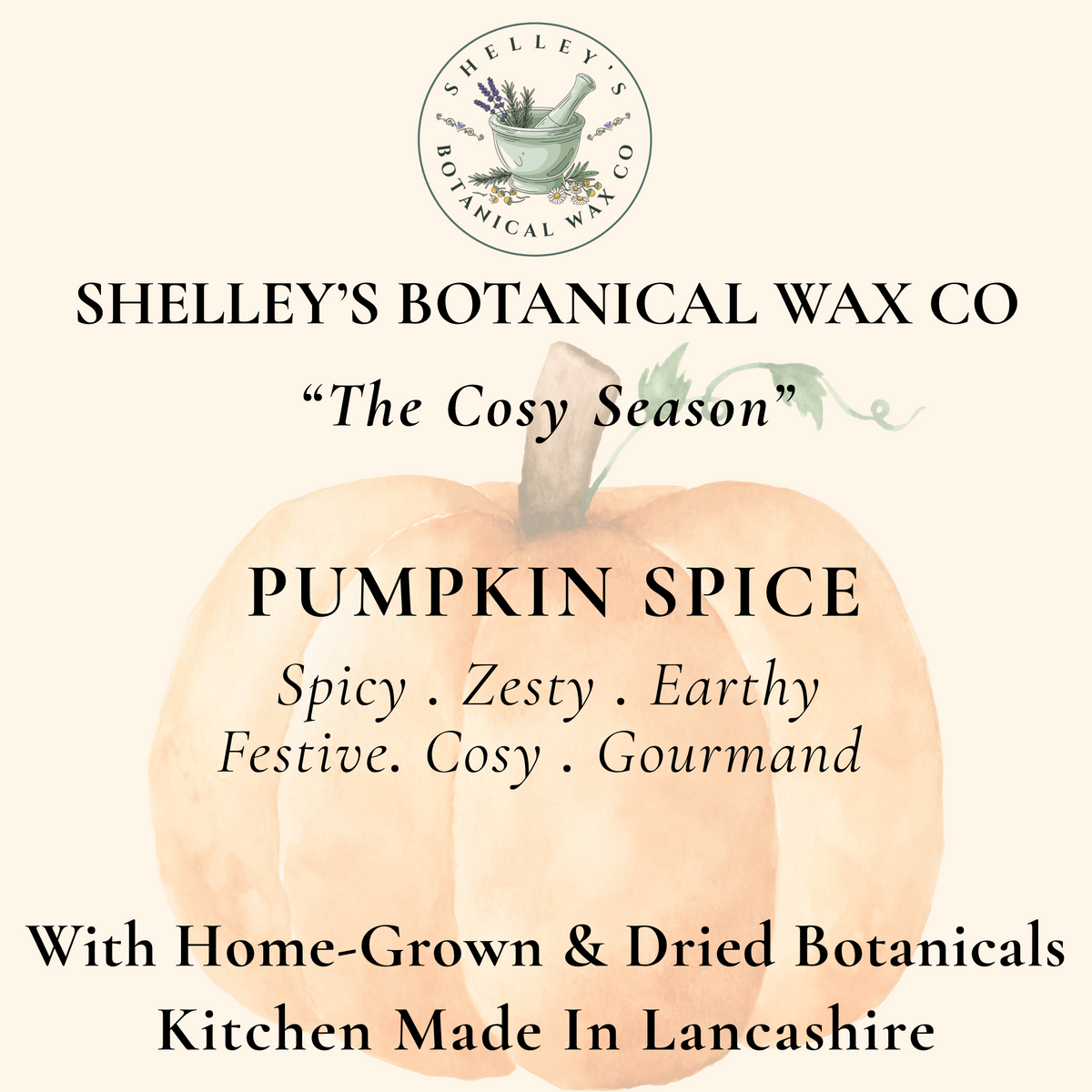 Cosy Season Ritual Discovery Vegan Wax Melts Box